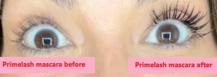 primelash mascara before and after